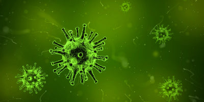 Why You Should Test for Chronic Infection if You Have an Autoimmune Disease